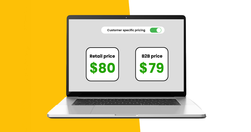 Single product page showing retail price and a different B2B price with a customer specific pricing toggle